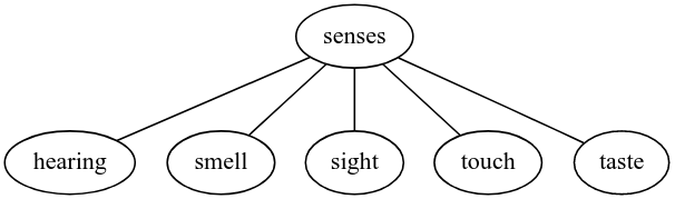 simple_network